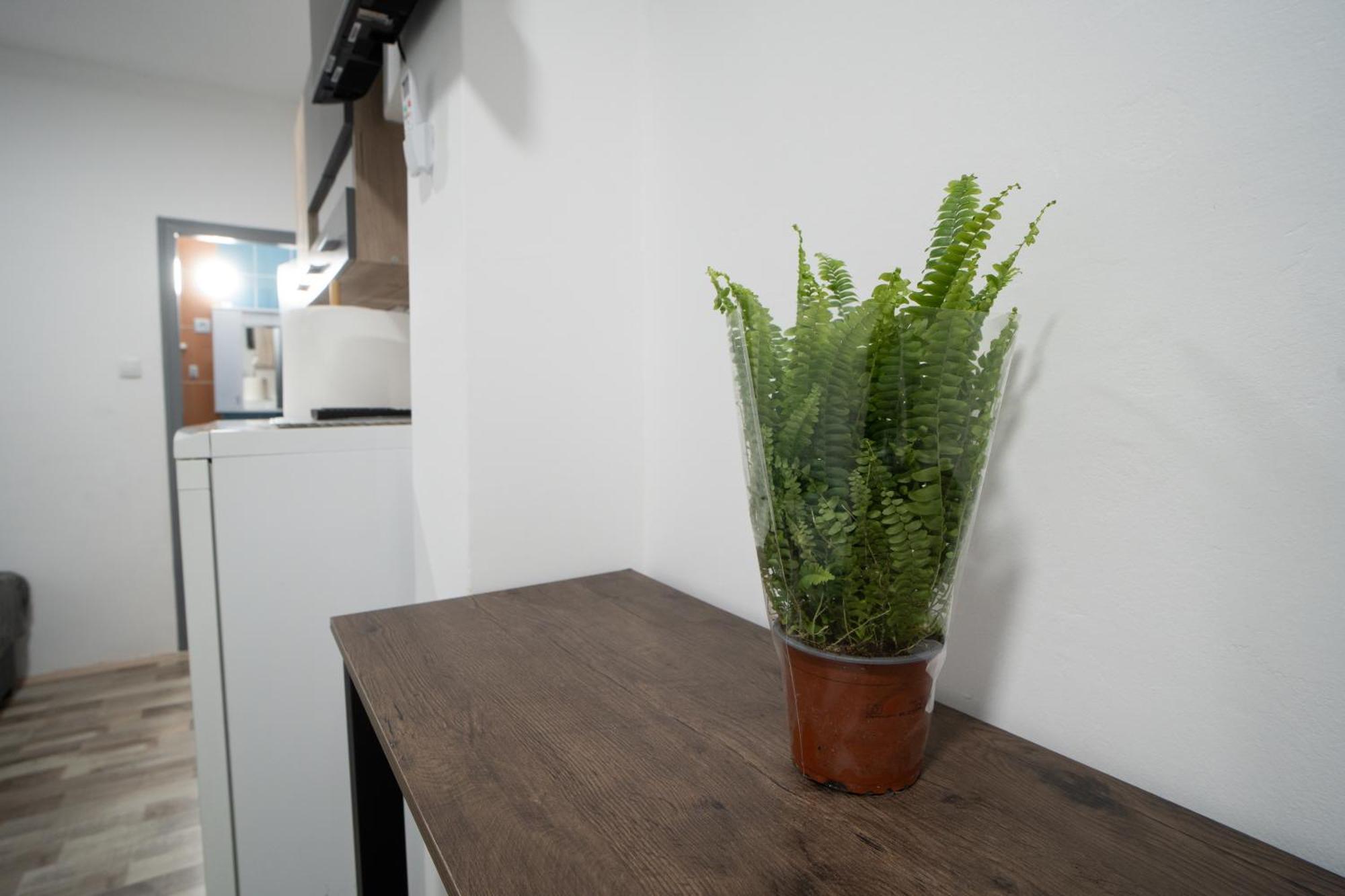 Vukelic 1 Apartment Belgrade